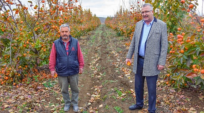 Karacabey'e alternatif tarım modeli