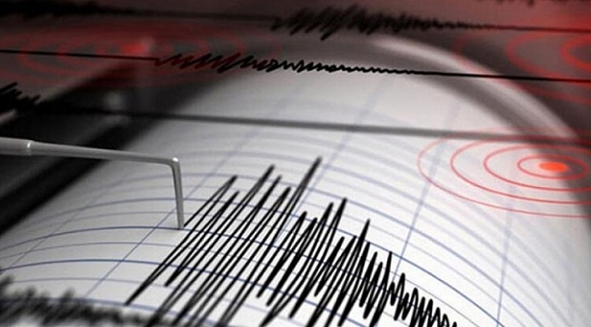 Van'da korkutan deprem!