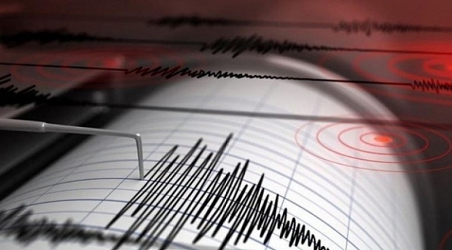 Van'da korkutan deprem!