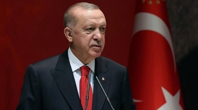 Erdoğan'dan pitbull saldırısına ilişkin açıklama