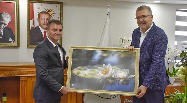 Karacabey'in orman ürünleri potansiyeli konuşuldu