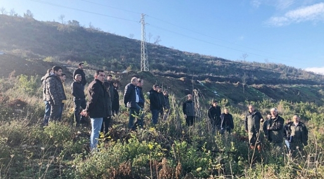 Mustafakemalpaşa'da defne üretimine yakın markaj