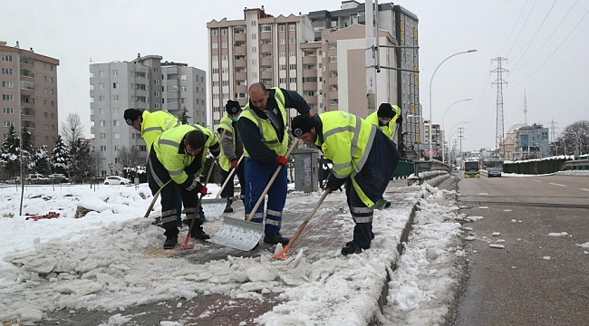 Bursa'nın 'estetik müdahale' mangası
