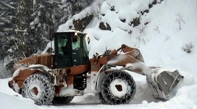 Erzurum'da çığ düştü
