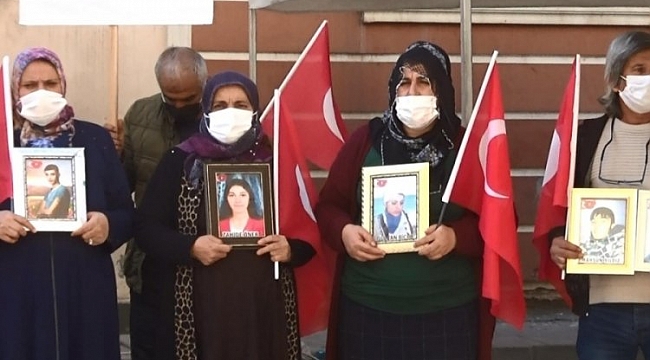 Ağabey kardeşini HDP'den istedi!