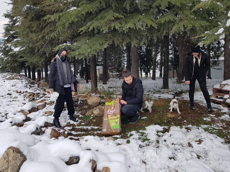 BTÜ öğrencileri can dostları unutmadı