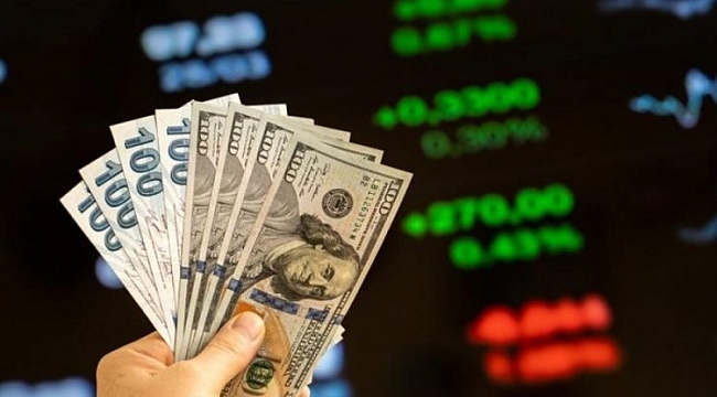 Dolar ve Euro'da son durum!