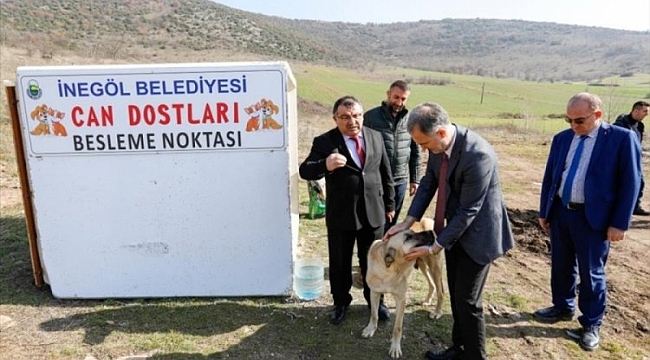 İnegöl'de can dostlara beslenme alanları oluşturuluyor