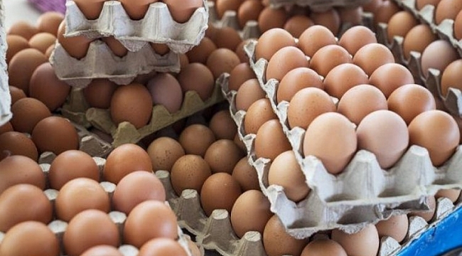 Ticaret Bakanlığı'ndan yumurta fiyatlarıyla ilgili açıklama