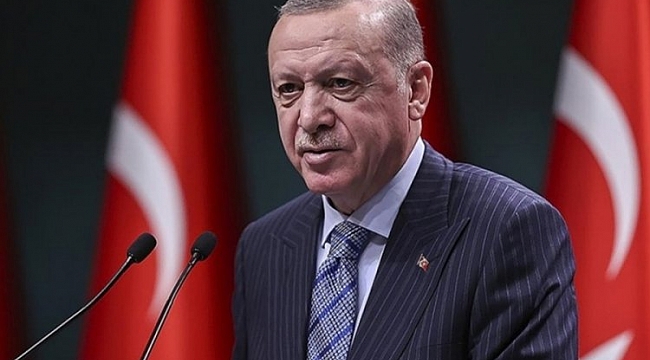 Erdoğan, Avusturya Başbakanı ile görüştü