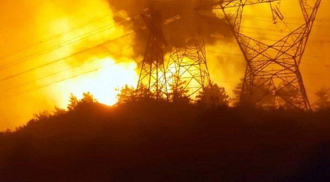 Hatay'da orman yangını