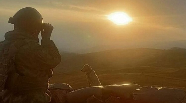 12 PKK/YPG'li terörist etkisiz hale getirildi