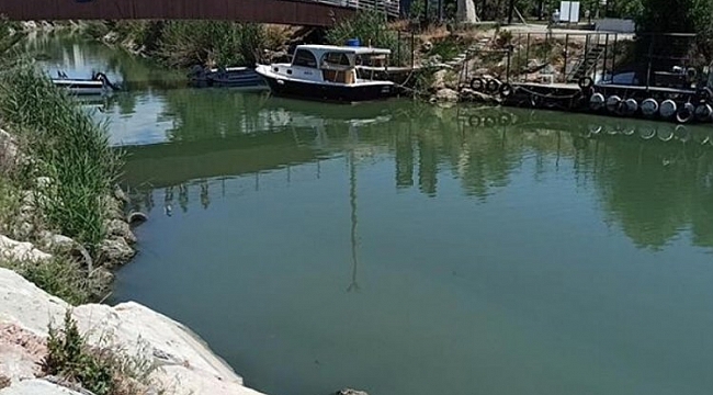 Akdeniz'de müsilaj raporu