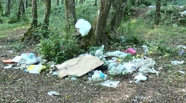 Belgrad Ormanı'nda çirkin görüntüler