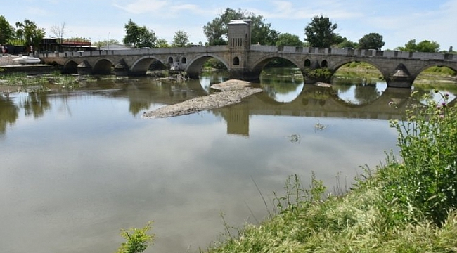 Edirne'de debisi düşen Tunca Nehri otla kaplandı