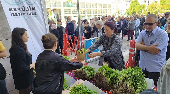 Nilüfer Belediyesi'nden 400 bin fide