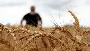 Tarım ve Orman Bakanlığı'ndan o iddialara yanıt