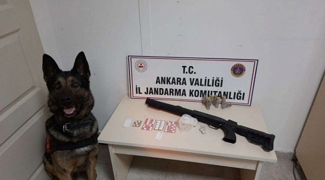 Zehir tacirlerine operasyon!