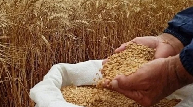 Bakanlıktan 'ekmeklik buğday satışı' açıklaması.