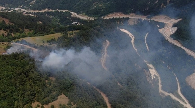 Bursa'da korkutan orman yangını