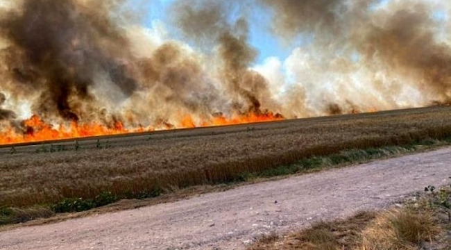 Çorlu ile Silivri'deki yangın bilançosu ağır oldu