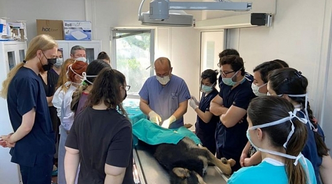 Geleceğin veteriner hekimleri Osmangazi'de