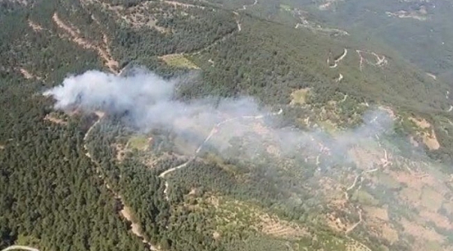 İzmir'de ormanlık alanda yangın