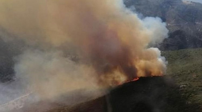 İzmir'deki orman yangını kontrol altına alındı
