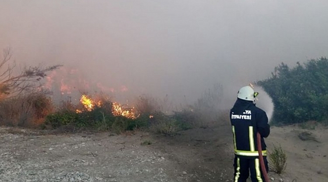 Kaş'ta çıkan yangınlar söndürüldü