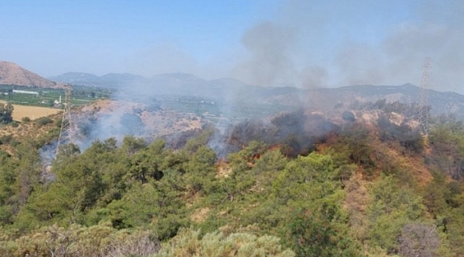 Muğla'da orman yangını