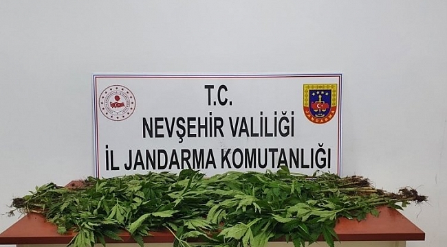 Nevşehir'de uyuşturucu operasyonu