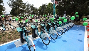 Nilespit şimdi de üniversite kampüsünde