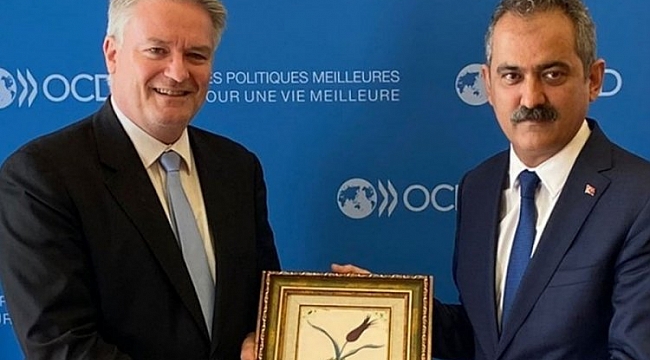 OECD'den Türkiye açıklaması