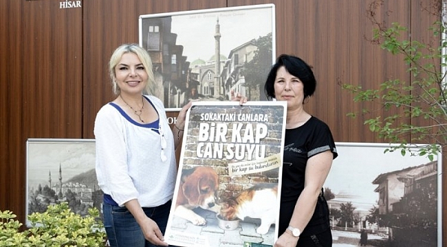 Osmangazi'de can dostlar için su kabı