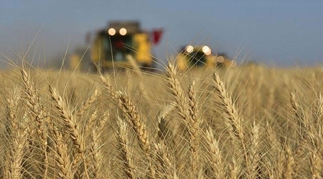 Rusya'dan tarım ürünlerinin için 'dost ülkeler' kararı