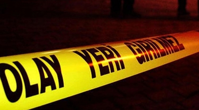 Trafik kazası evli çifti yaşamdan kopardı