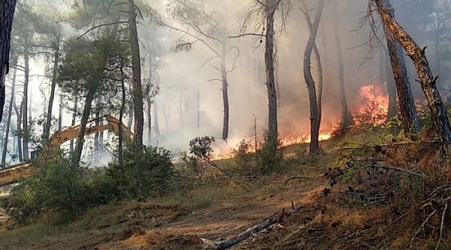 AFAD'dan Bursa'ya flaş uyarı