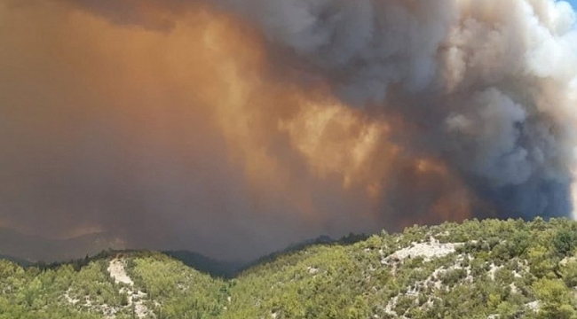 Antalya'da orman yangını