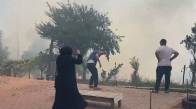 Beykoz'da çıkan yangına 1 gözaltı