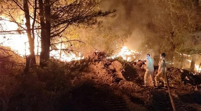 Datça yangını için yeni açıklamalar