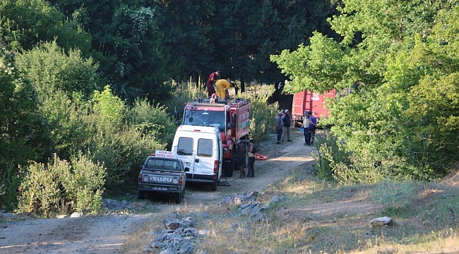Edirne'de orman yangını kontrol altında