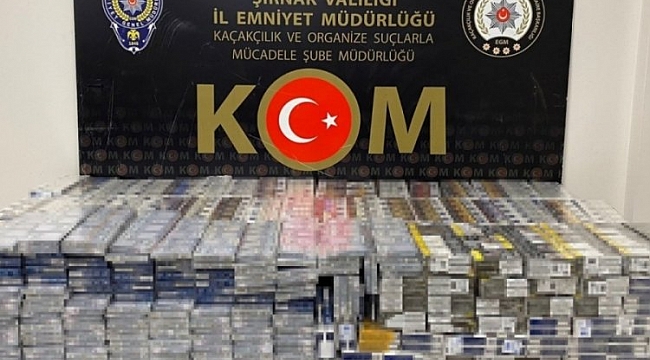 Kaçakçılık ve asayiş operasyonu