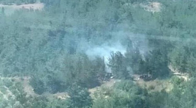 Manisa'da orman yangını!