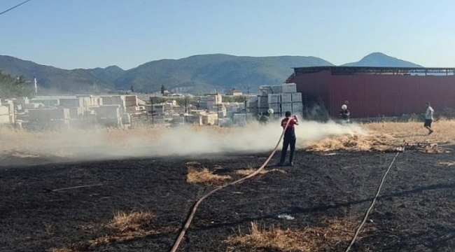 Muğla'da korkutan yangın