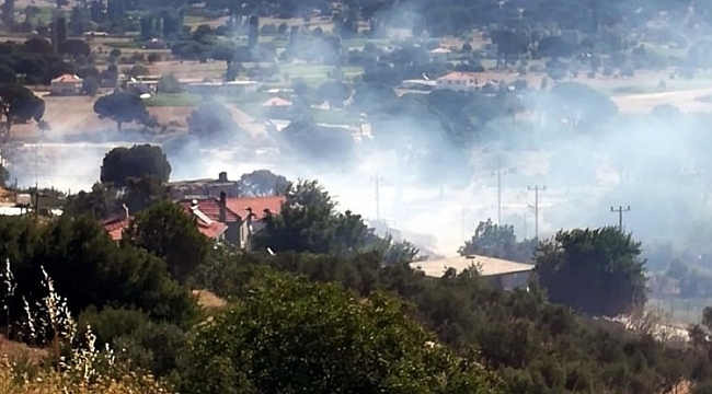 Muğla Milas'ta yangın paniği