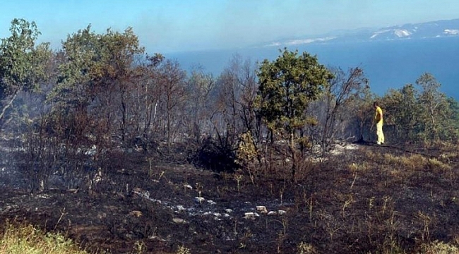 Tekirdağ'da orman yangınına neden olan 3 kişi tutuklandı