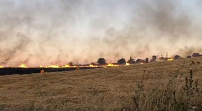 Türkiye'de tarla yangınları devam ediyor