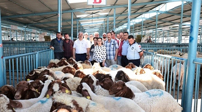 Üreticiye yapılan hibe desteği yüzleri güldürdü