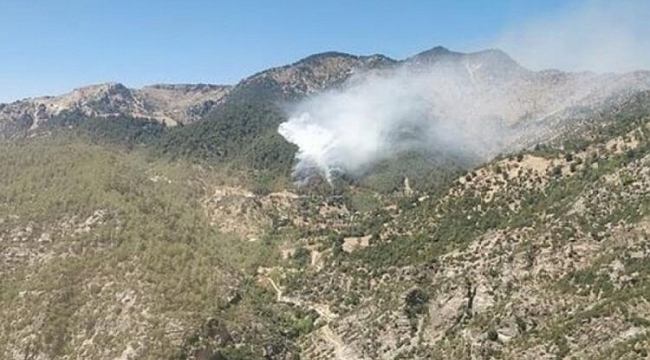 Kahramanmaraş'ta orman yangını