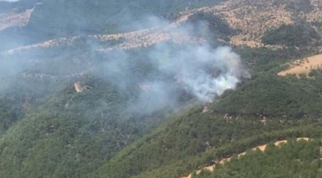 PKK'nın talimatıyla orman yakacaktı... Yakalandı
